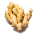 Chinese fresh ginger